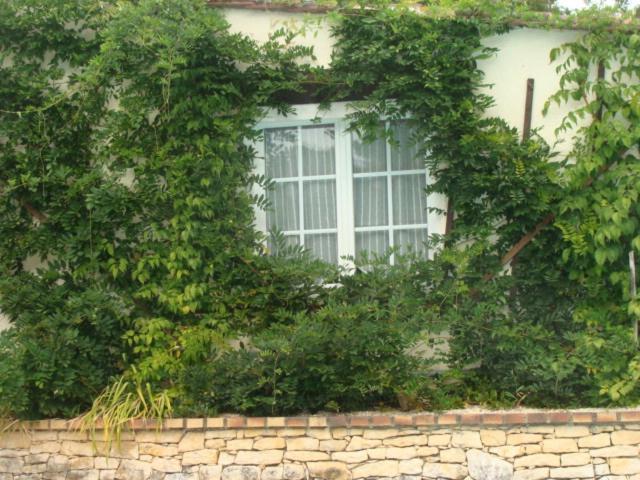 Le Guinguetton Chambre D'Hotes Prigonrieux Zewnętrze zdjęcie